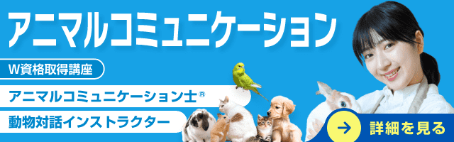 アニマルコミュニケーション