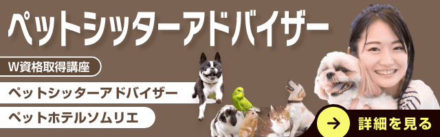 ペットシッター
